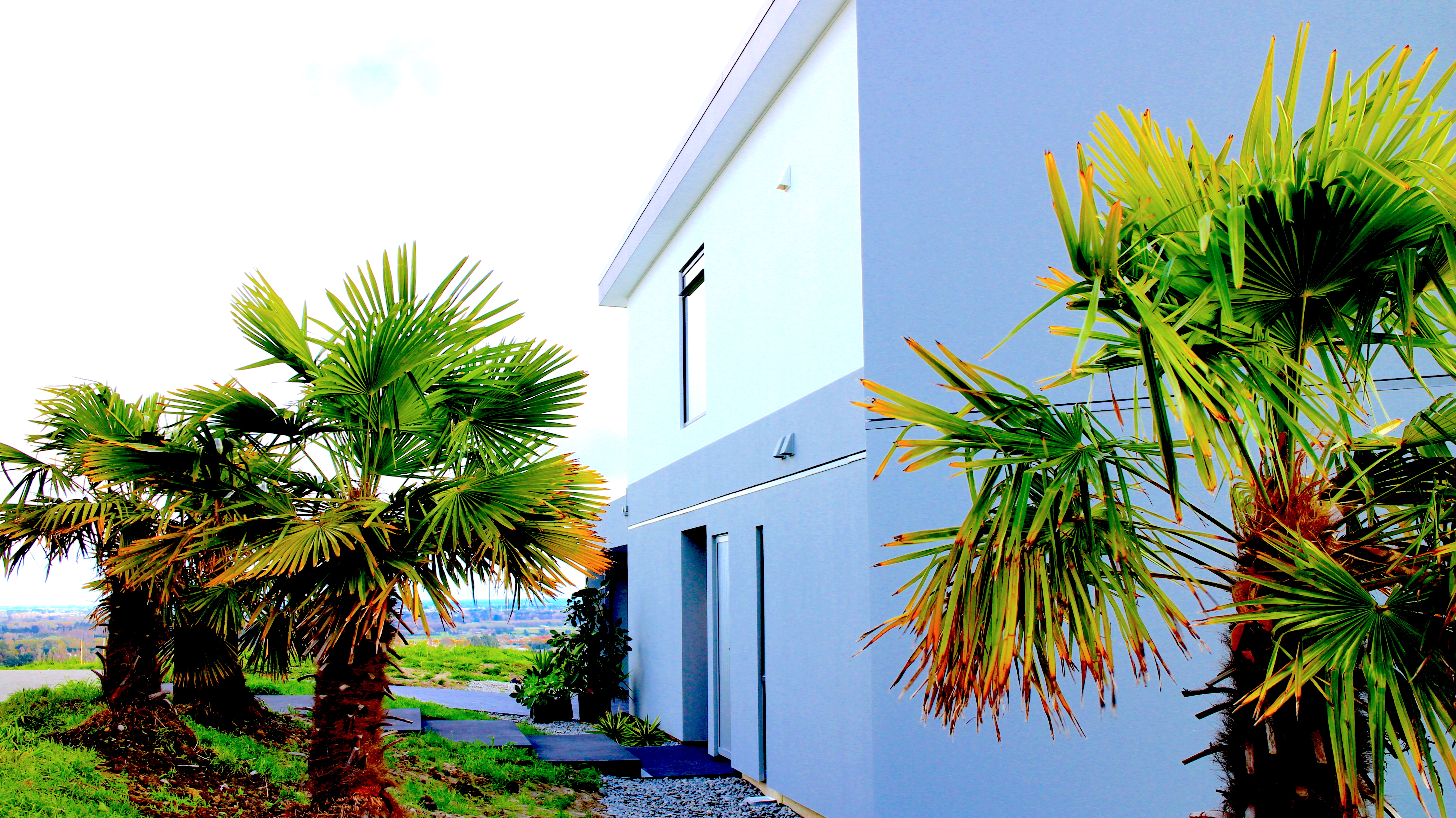 View from reserve towards home's north facade with passive solar design